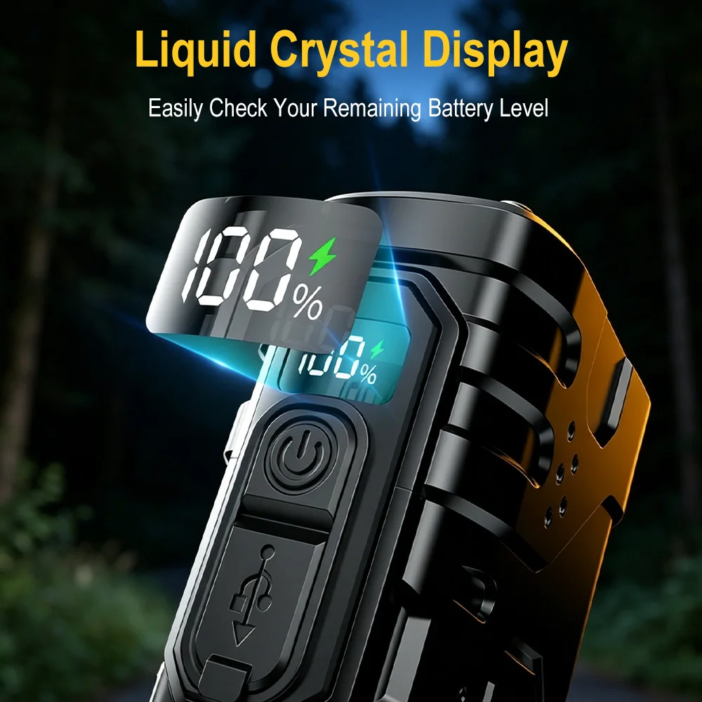 2025 NEW Philips SFL2188 LED A - огляд і ціна Outdoor Lighting Guide