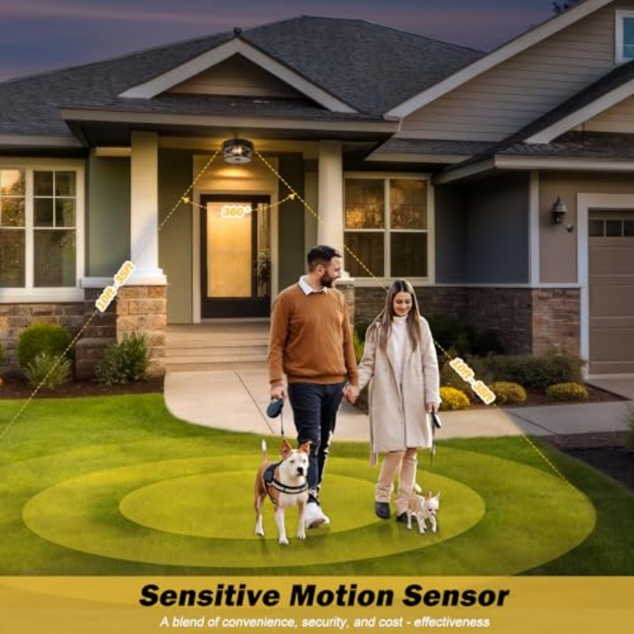 Motion Sensor Outdoor Ceiling  - огляд і ціна Outdoor Lighting Black