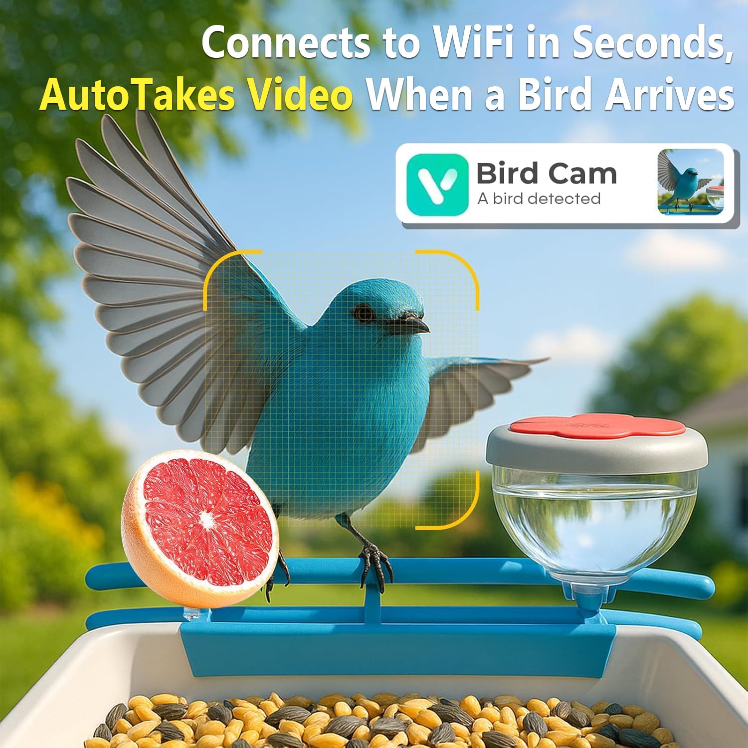 Smart Bird Feeder Camera 2K Li - огляд і ціна Motion Sensor Outdoor